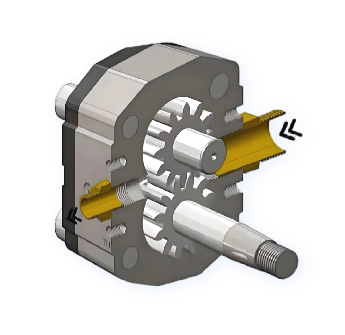 Gear Pump