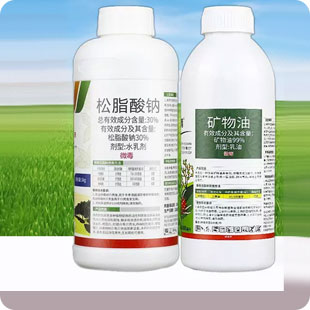 Square flat bottle