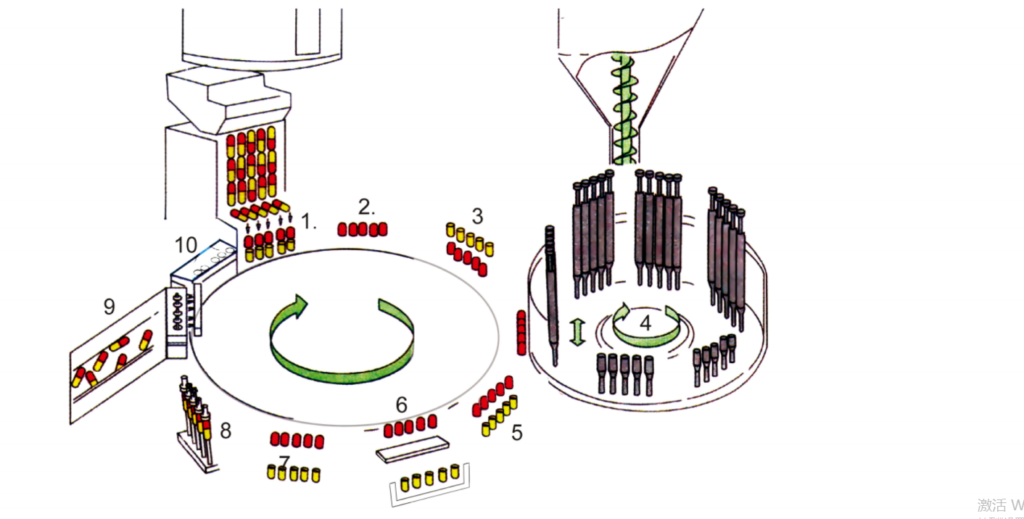 capsule filling process flow diagram